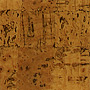 Corkboard Corkboard
